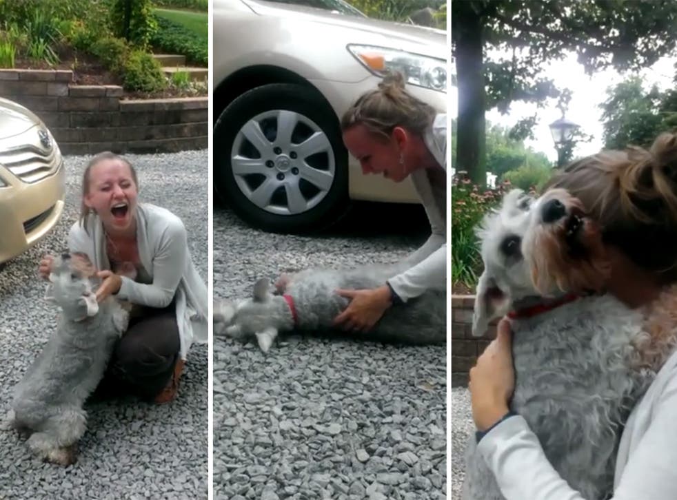 The dog and its owner finally meet after two years apart.  The dog even fainted from happiness