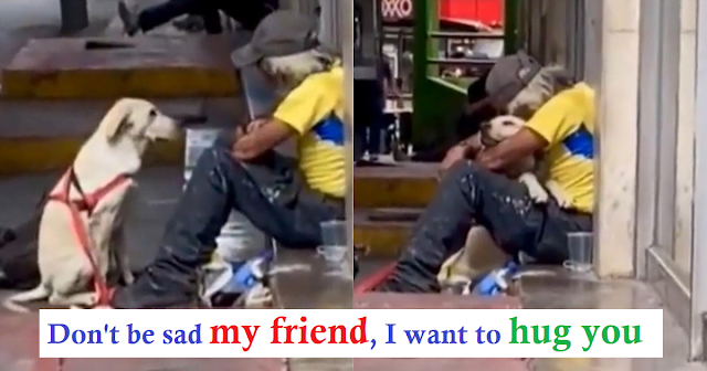 The dog approached the homeless man to comfort him, the scene was emotional