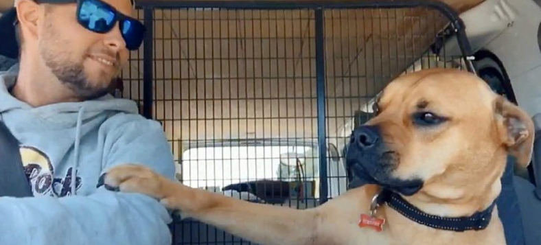 The dog is afraid of being abandoned, so he won't let go of the adopter from the animal farm