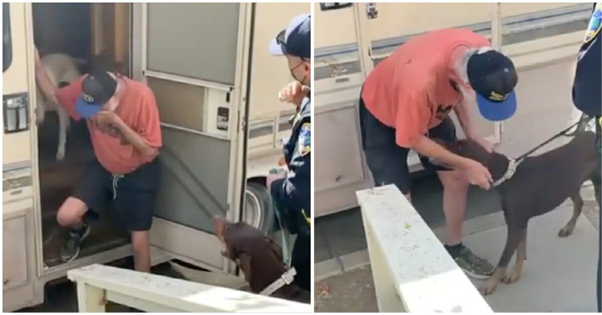 The dog's owner burst into tears when he saw the missing dog again, who always supported him mentally