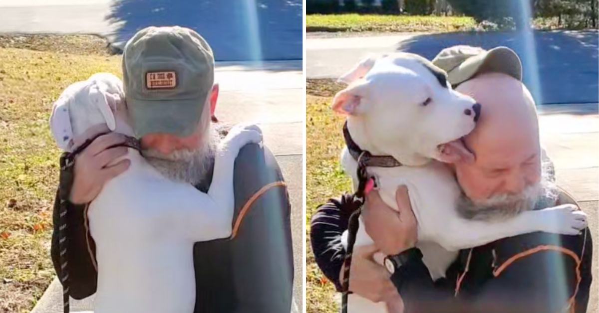 The happy dog ​​kept hugging and kissing its new owner after being adopted