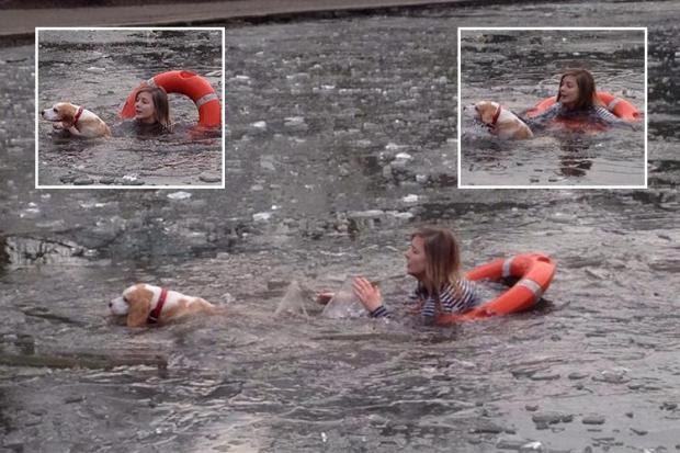 The incredible moment a woman bravely saved her dog suddenly fell into a frozen lake while the dog was chasing a bird.