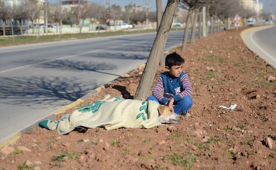 The kind boy didn't want to leave the injured stray dog ​​until help arrived