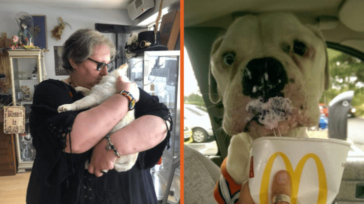 The kind pensioner opens a hospice to care for and love abandoned dogs in the last days of their lives