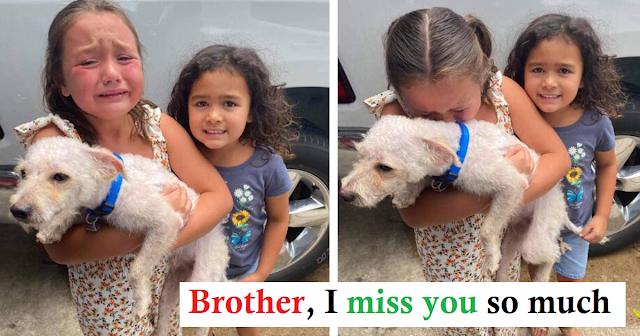 The little girl burst into tears of happiness because she finally met the missing dog