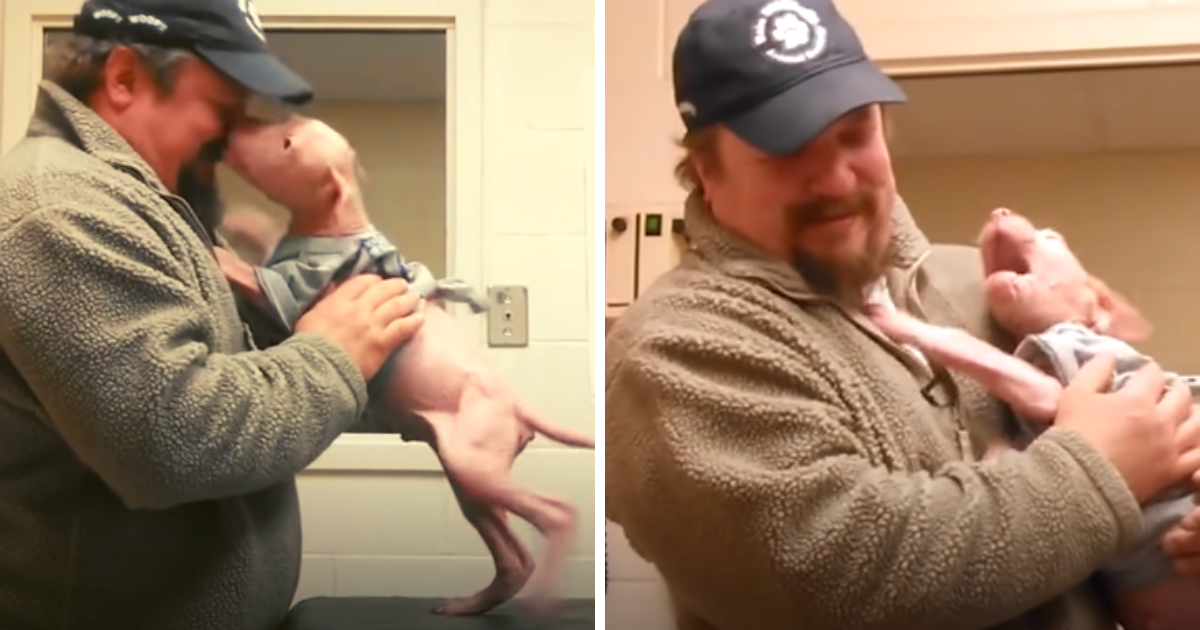 The man went back to adopt the dog he rescued.  The dog can't hide his happiness