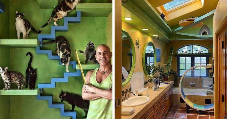 The man who built the perfect paradise for 20 rescued cats