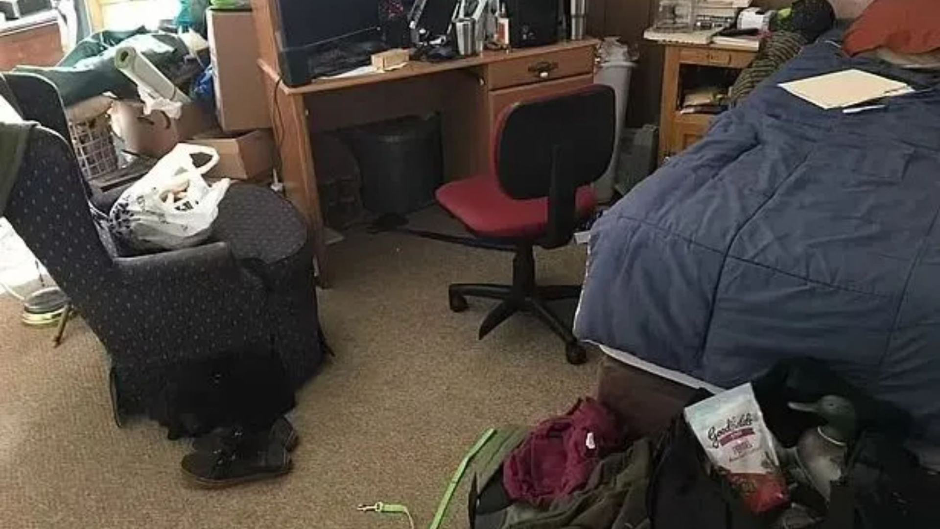 The messy room puzzle leaves viewers wondering: CAN you find the hidden dog in six seconds?