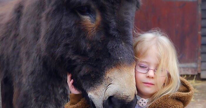 The mute girl surprised everyone by saying this magic sentence to her therapy donkey