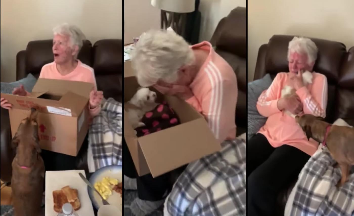 The old woman couldn't hide her tears after receiving the gift of a puppy