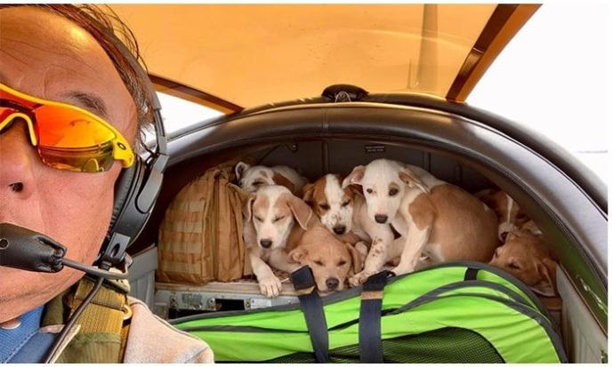 The pilot dedicates his life to helping stray animals: he flies to rescue homeless animals home and their new owners