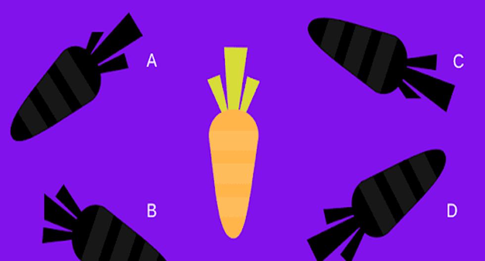 There is only one shadow exactly like a carrot.  Can you find her?