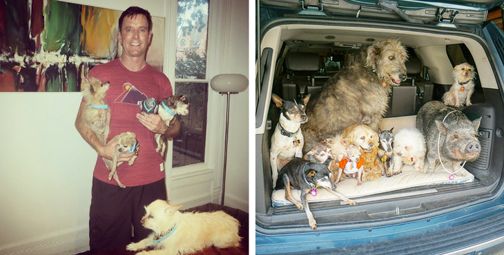 This man spends his life rescuing old dogs and giving them homes