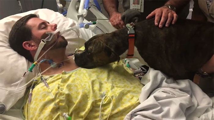 Touching scene of dog saying goodbye to owner