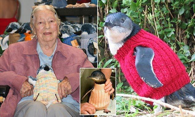 Touching story.  Kind granny knits colorful sweaters to protect and keep the penguins warm