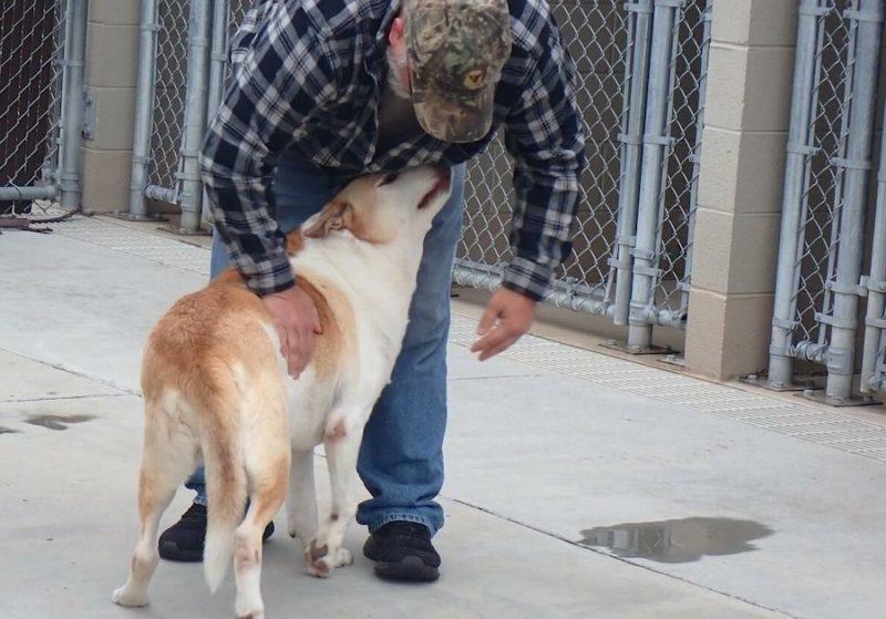 Touching story.  Lost dog burst into tears when found by owner