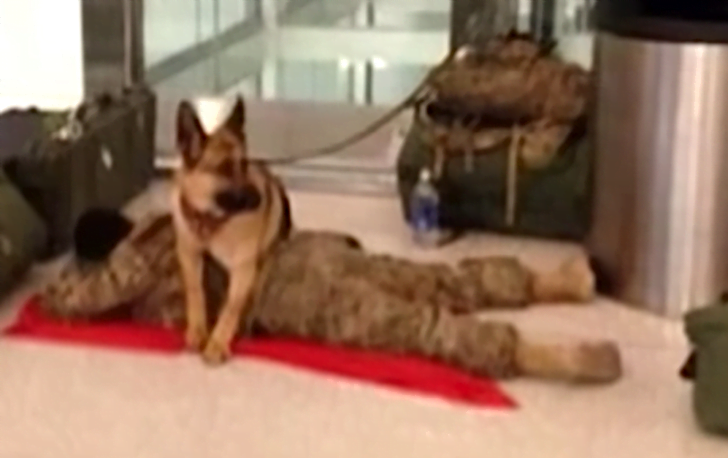 Touching video.  Military dogs protect soldiers napping at the airport