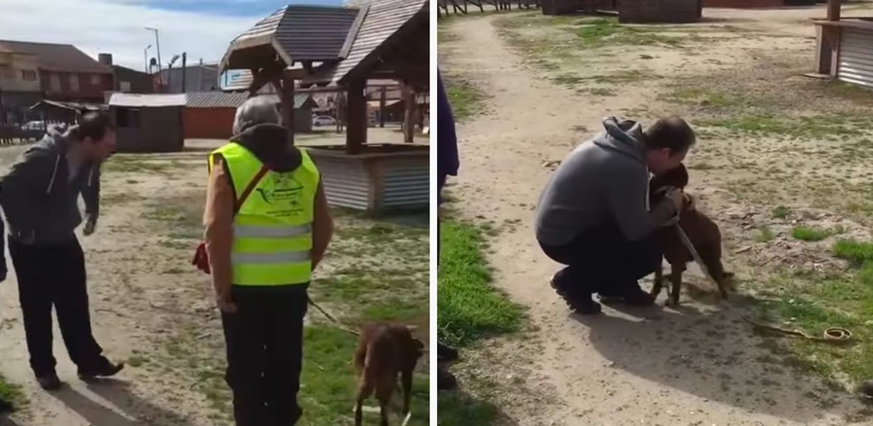 Videos, beautiful moments.  A dog's tearful reunion with his owner after 2 years at the animal shelter