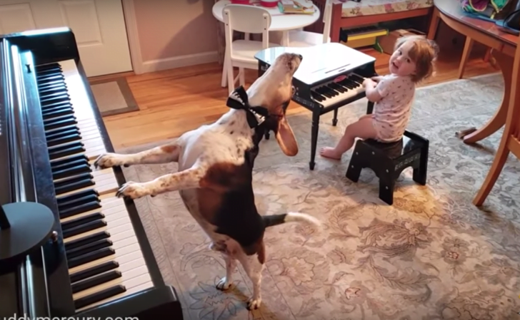 Videotapes.  A man filmed his daughter singing and dancing to music played by a dog playing the piano