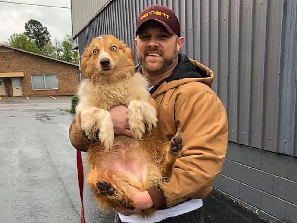 Videotapes.  A missing dog has been found and reunited with family after warning the family of a dangerous tornado