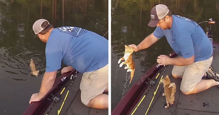 Videotapes.  An act of heroism.  How two fishing men saved two cats left in the water by their former owners