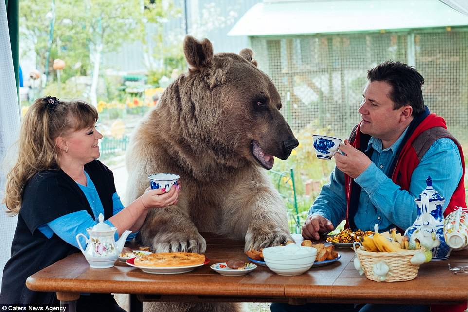 Videotapes.  Cute pictures.  The couple has been raising teddy bears for 25 years and enjoys a very happy and fulfilling life together