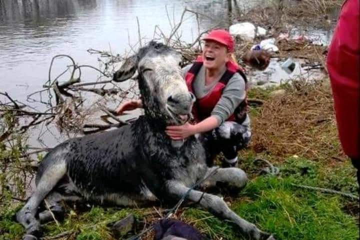 Videotapes.  The smiling donkey was very happy when he was rescued from the deep flood