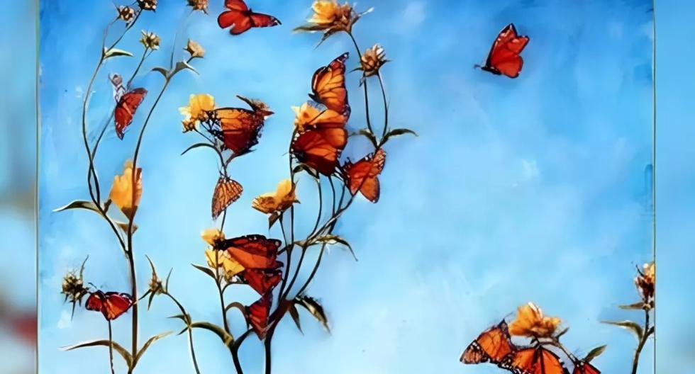 Visual check of women, butterflies and flowers: tell us what you see and decipher your dreams