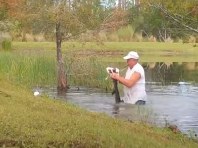 Watch video.  Owner saves dog from big crocodile jaws