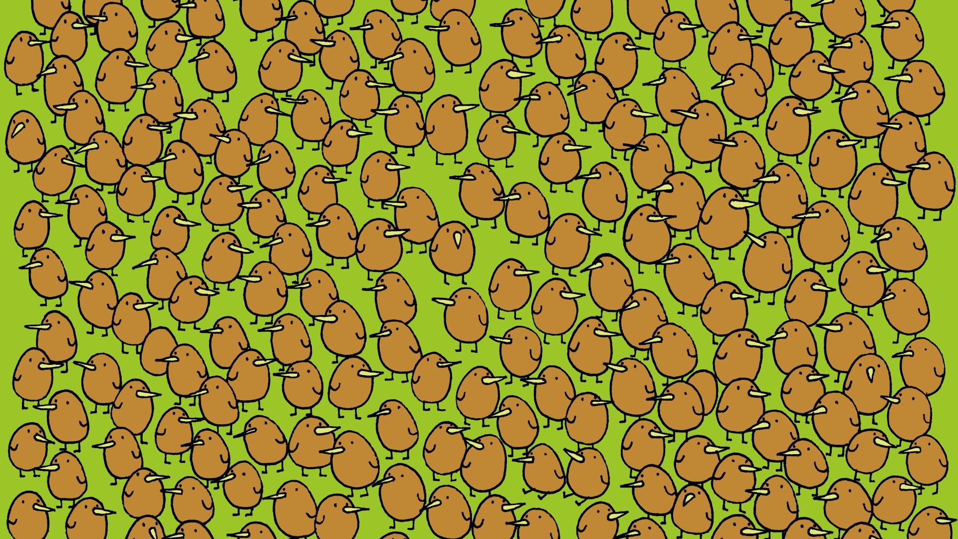 You could be a genius if you can spot 4 hidden kiwi fruits among adorable birds