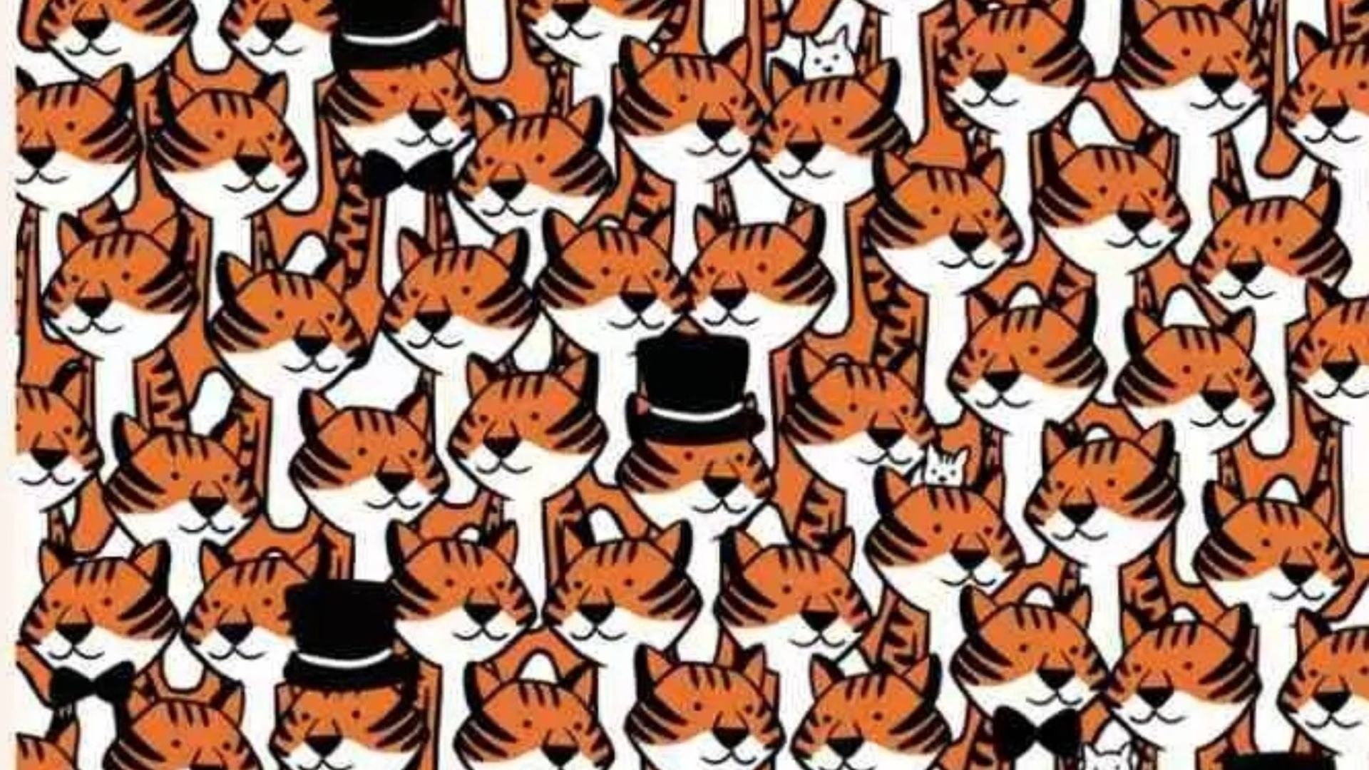 You could be the champion if you manage to find the four hidden cats in this optical illusion in just 11 seconds