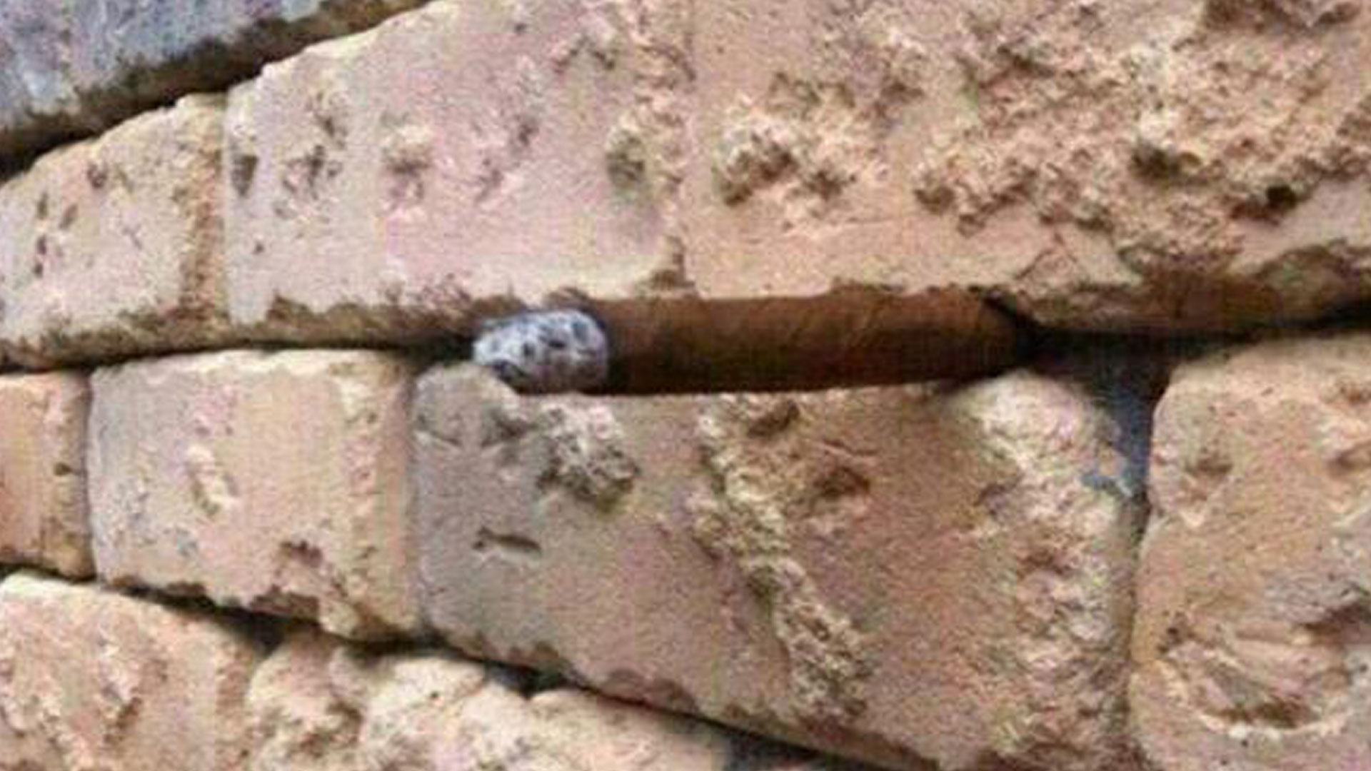 You could have a top IQ if you spot the hidden object that’s right in front of you in this brick wall optical illusion