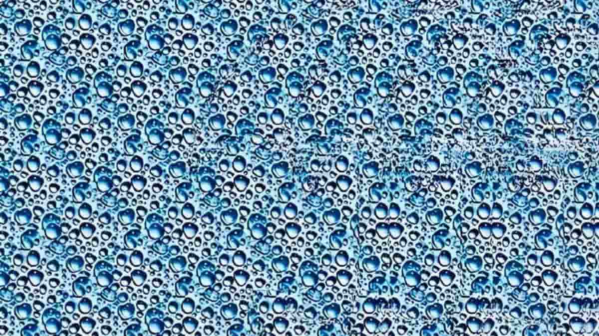 Magic Eye Optical Illusion