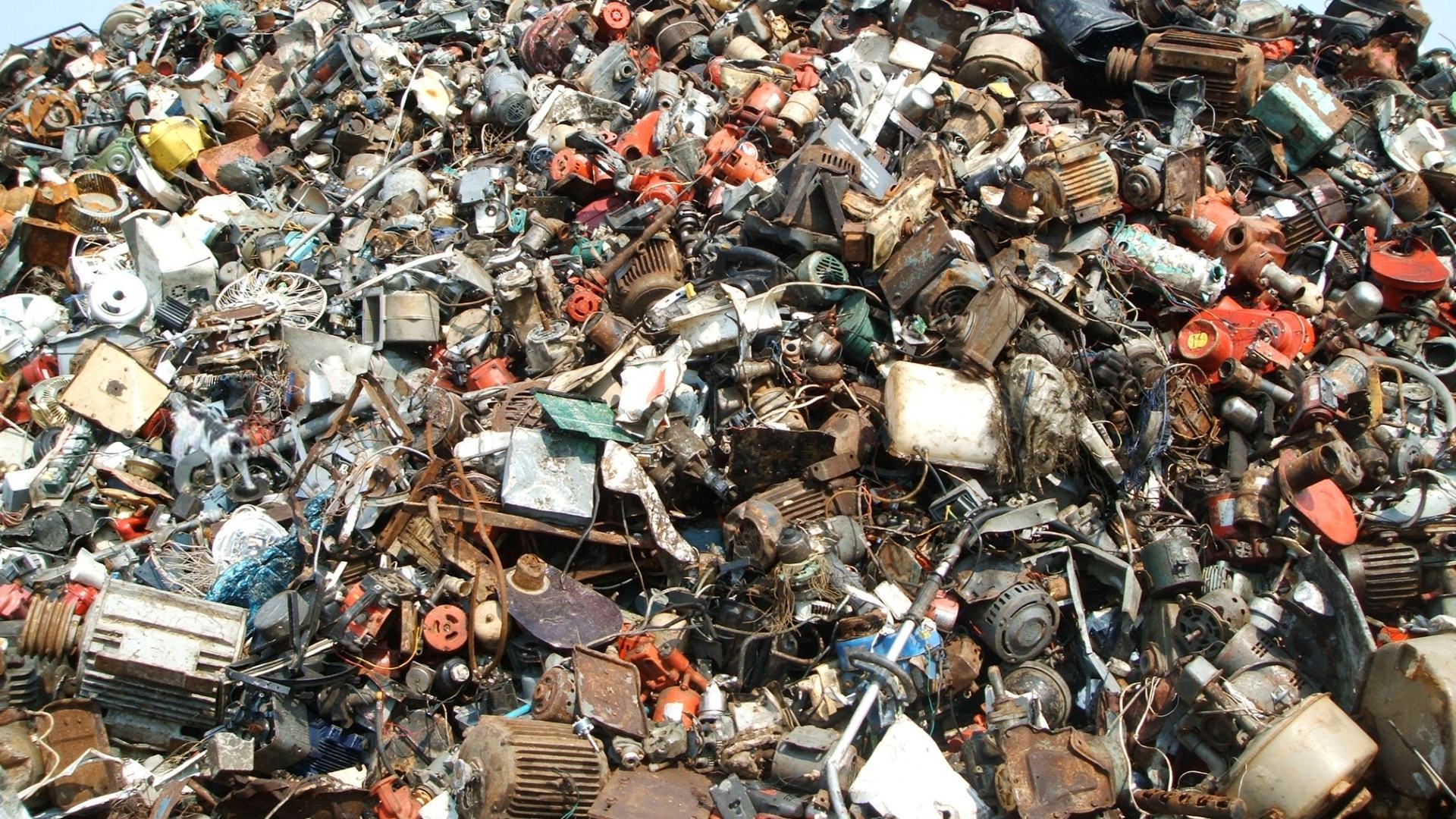 You have the eyes of an eagle if you can spot the cat prowling among this mountain of rubbish