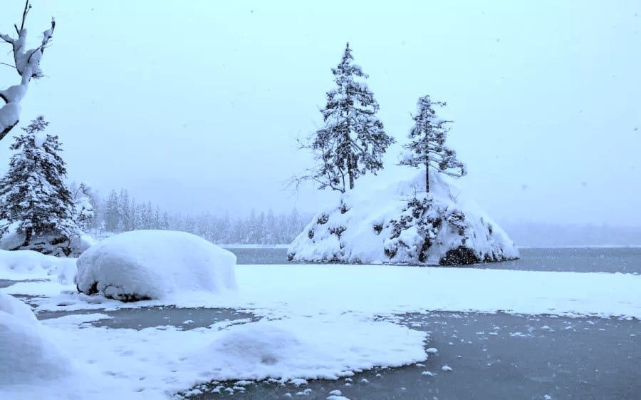 You have to be ice cold to spot a giant polar bear scurrying in this optical illusion before it sees you