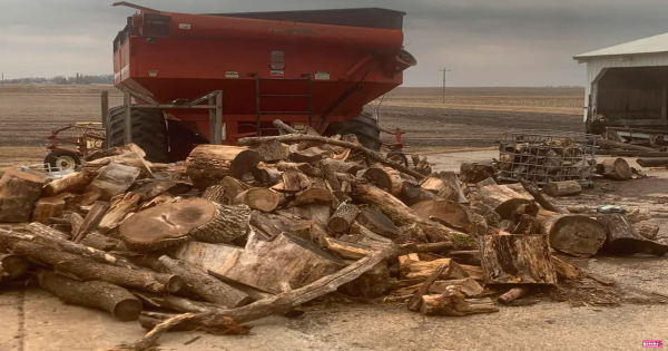 You've got eyesight if you find the hidden cat in those logs in less than 20 seconds!