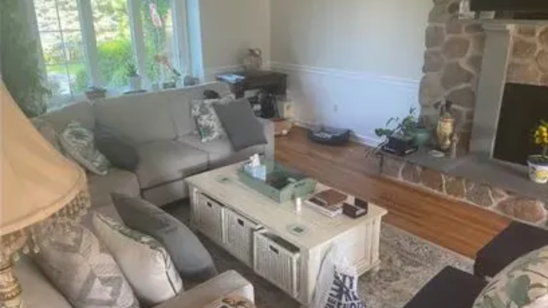 You’ve got the eyes of a hawk if you can spot the dog hiding in this house in 10 seconds