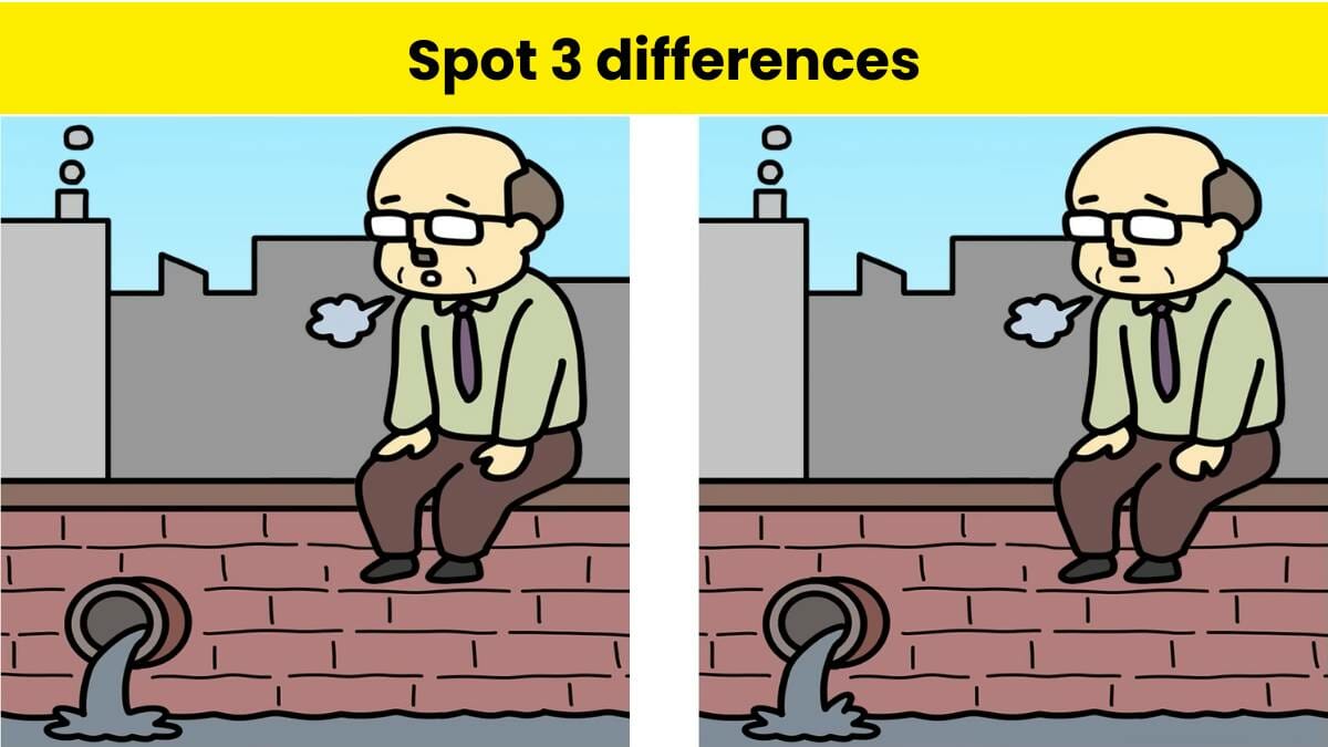 Can you spot 3 differences?