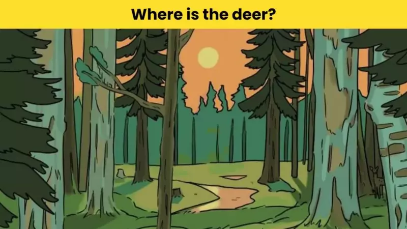 A deer is hidden in the forest.  Can your smart eyes detect it in 7 seconds?