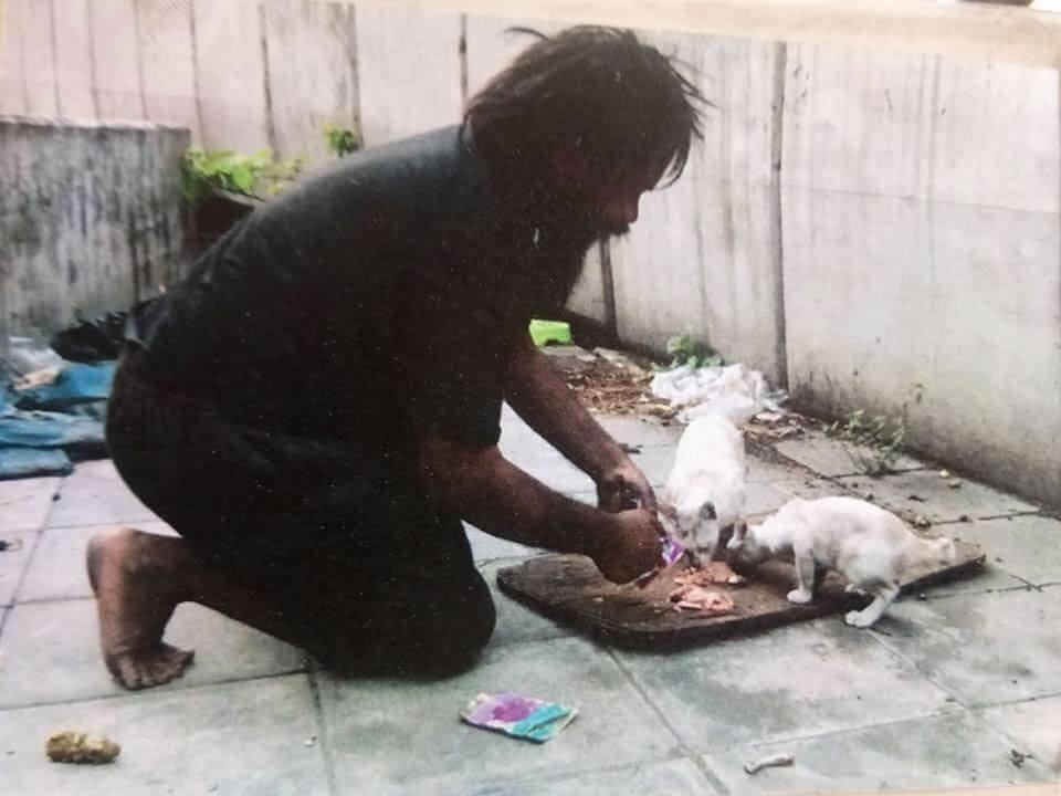 A kind story about a homeless man feeding the homeless cats next to him