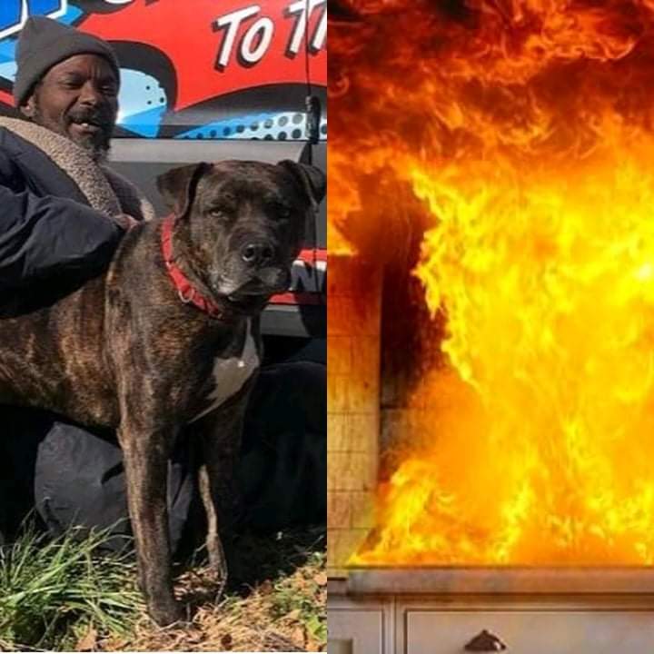 A wonderful story about a man who saved burning animals