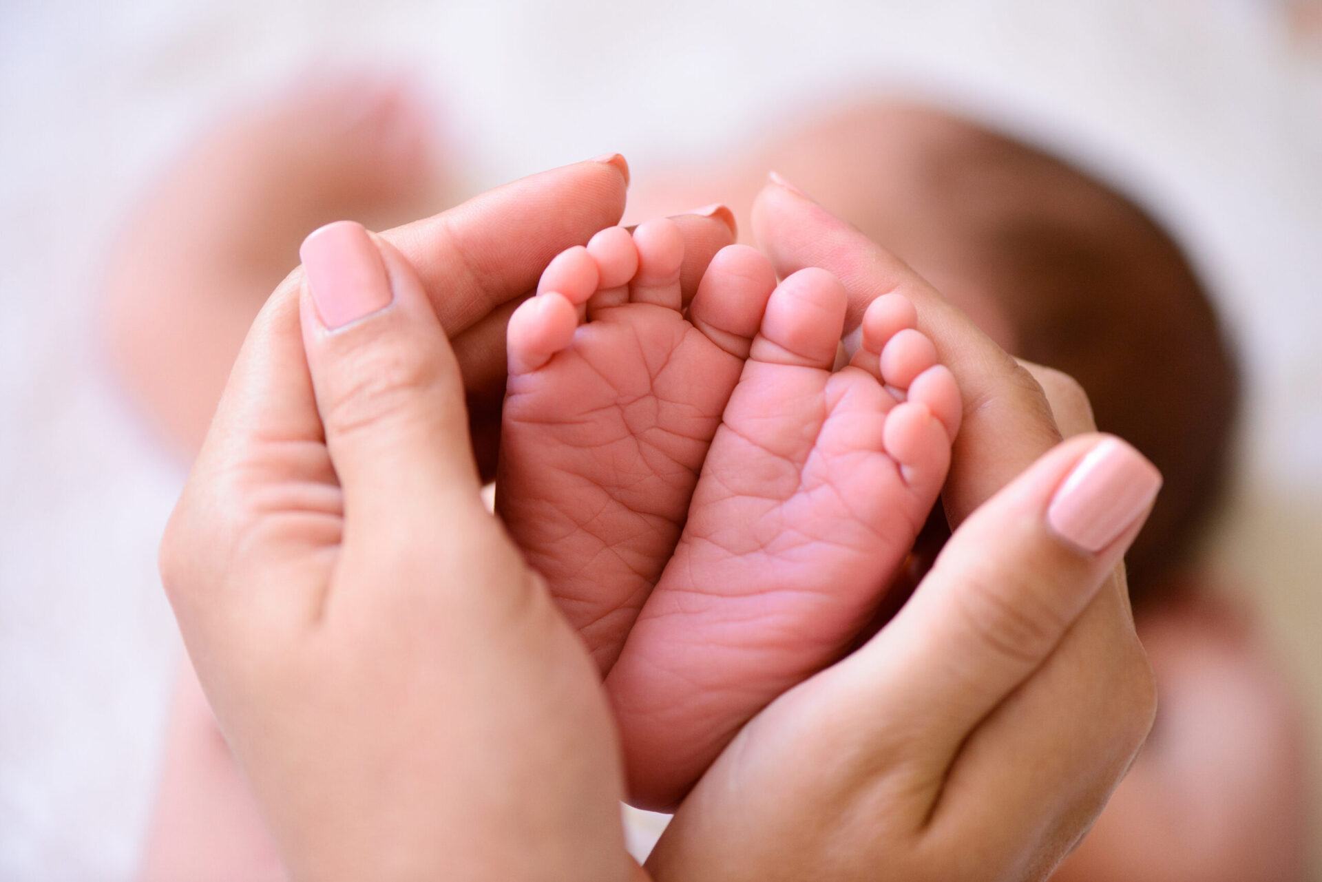 Stock Image of  Babies Feet