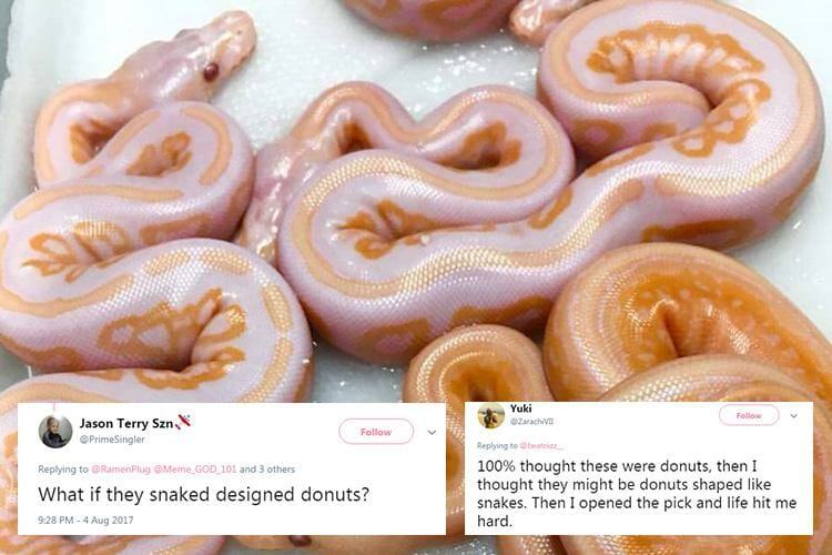 Bizarre optical illusion has everyone confused… so do YOU think the photo shows snakes or doughnuts?