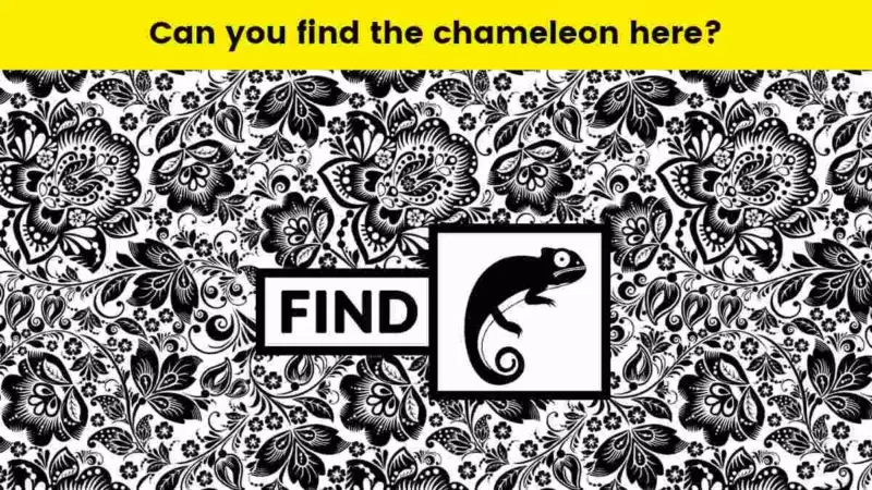 Can you find the chameleon within 7 seconds?  Can you make this impossible mission possible?