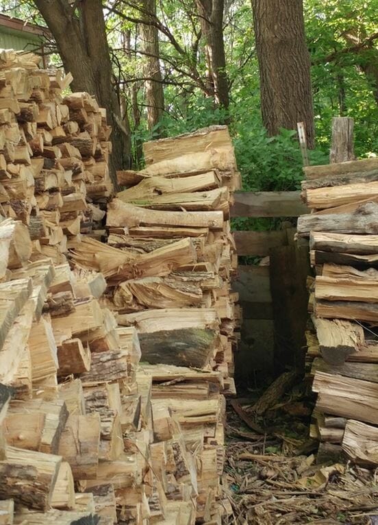 Can you spot the sleeping cat in this picture showing a pile of logs?