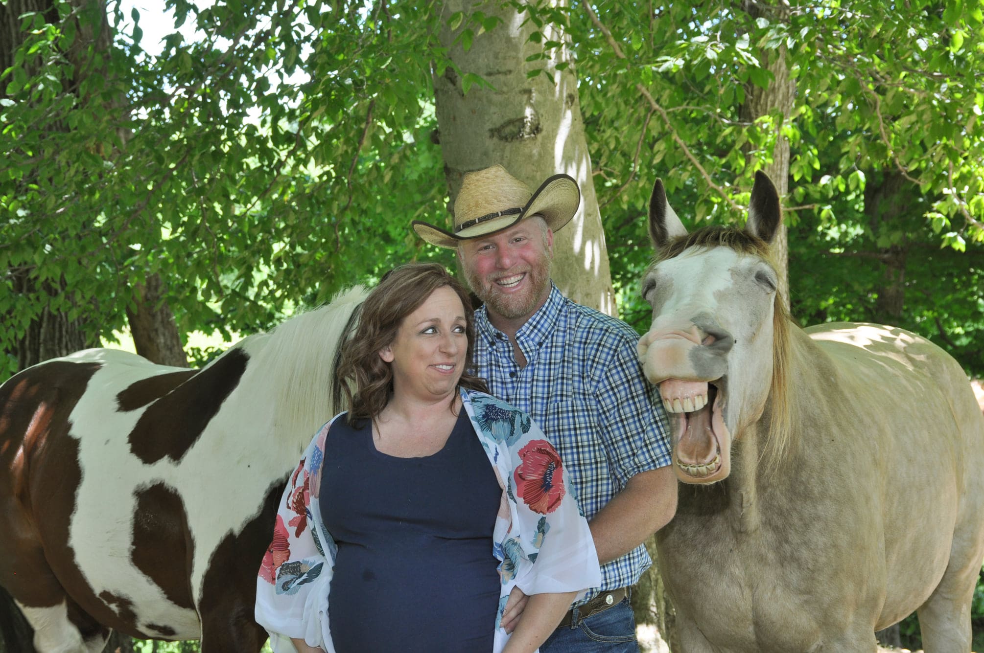 Cheerful and mischievous horse with a funny smile with the most crooked tooth makes the pregnancy photo session amazing