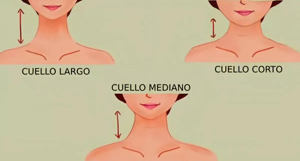 Conoce si eres una persona dependiente o solitaria según el medida de tu cuello