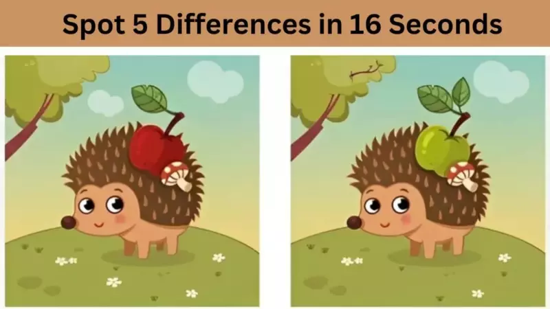 Detect five differences within 16 seconds.  Test your intelligence and observation with this challenge now.