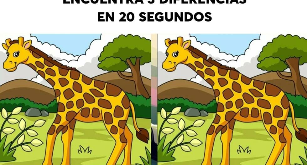 Do you have a good eye for details?  Find the difference between giraffes in less than 20 seconds