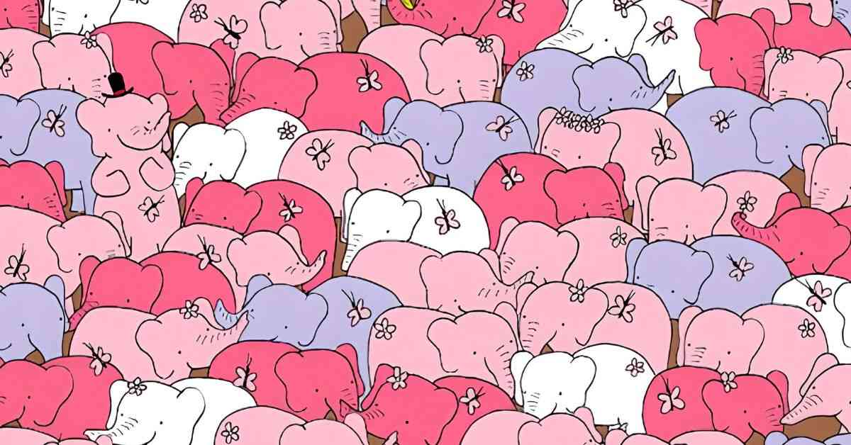 Find the Hidden Heart Among the Elephants